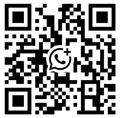 WhatsApp Consultation